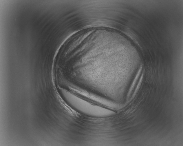 X0000067461076200604211535