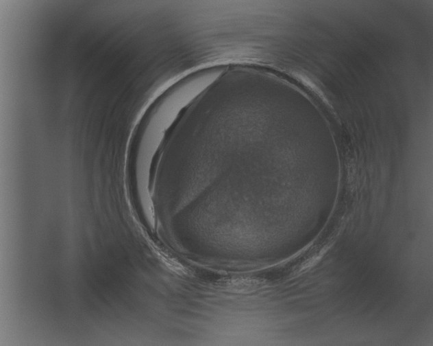 X0000067461077200604211535