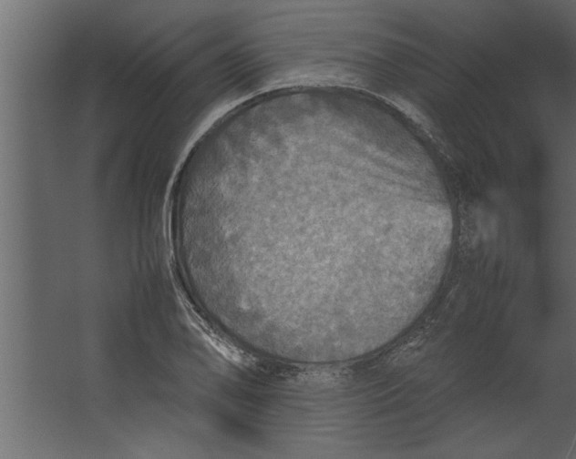 X0000067461078200604211535