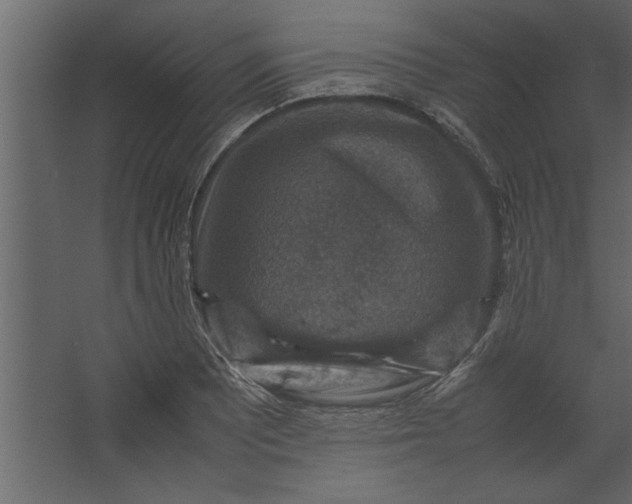 X0000067461081200604211535