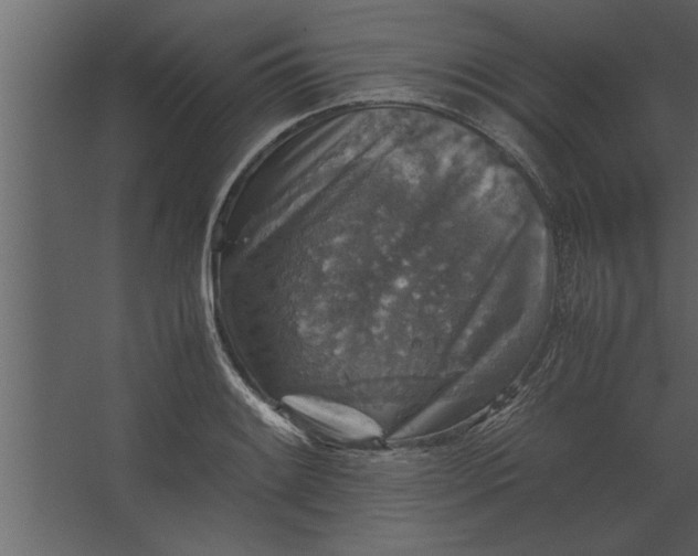 X0000067461084200604211535