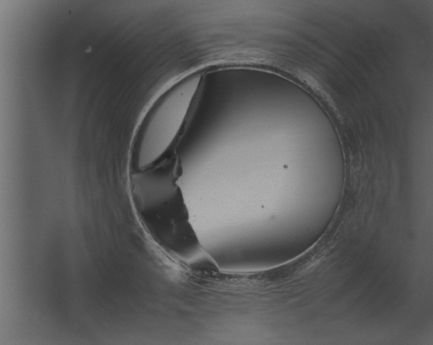 X0000067461085200604211535