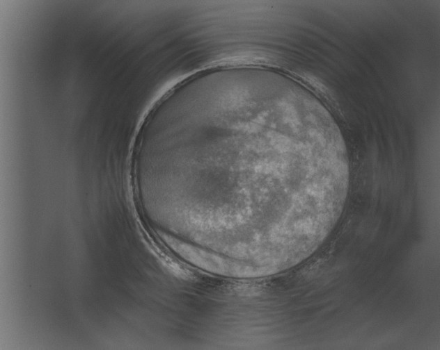 X0000067461086200604211535