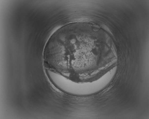 X0000067461087200604211535