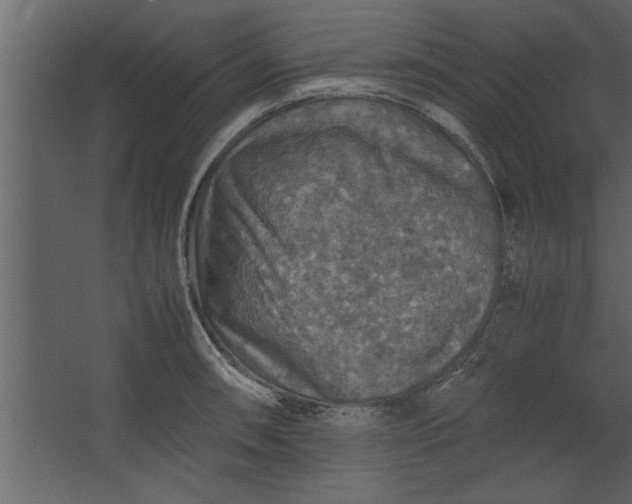 X0000067461090200604211535