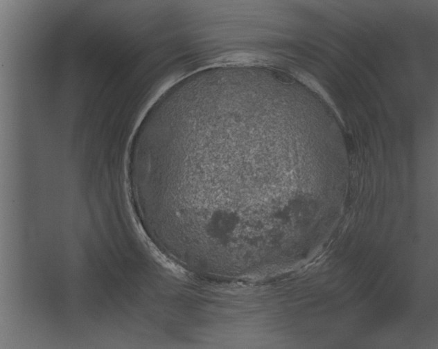 X0000067461091200604211535