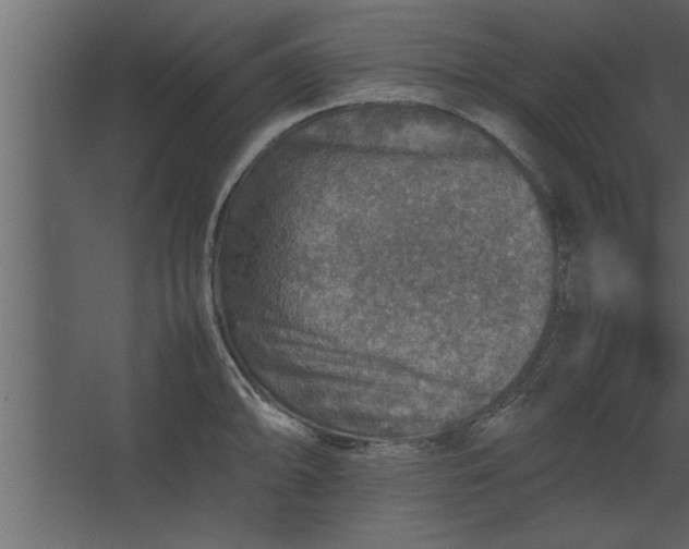 X0000067461094200604211534