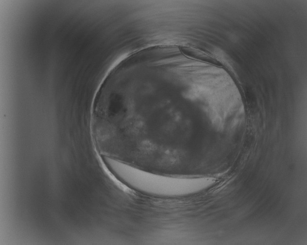 X0000067461095200604211534