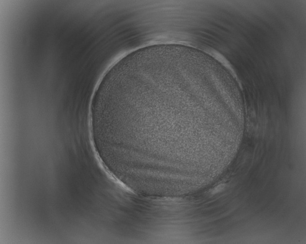 X0000067461096200604211534