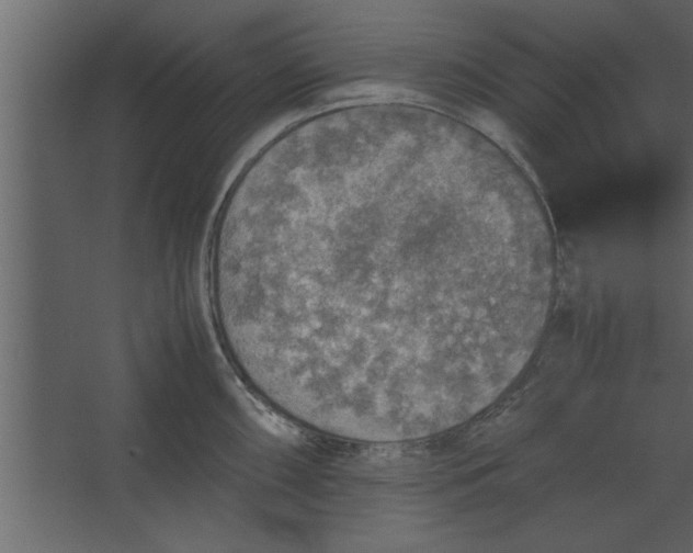 X0000067461098200604211534