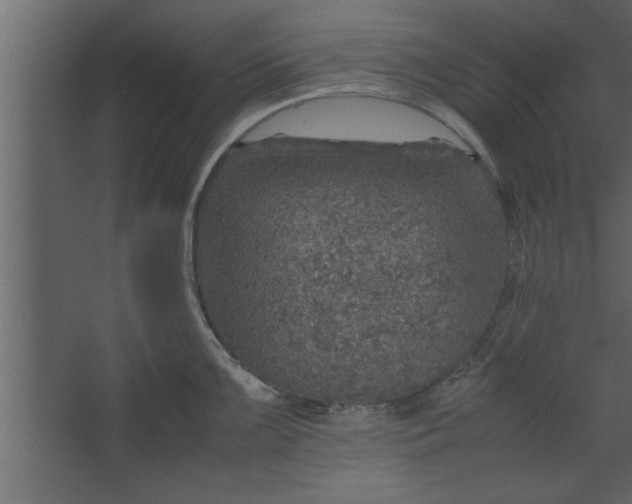 X0000067461099200604211534