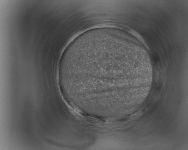 X0000067461101200604211534