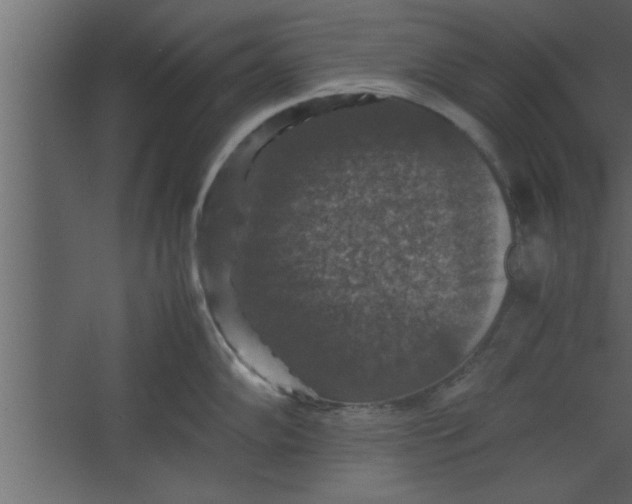 X0000067461102200604211534