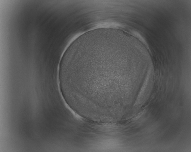 X0000067461103200604211534