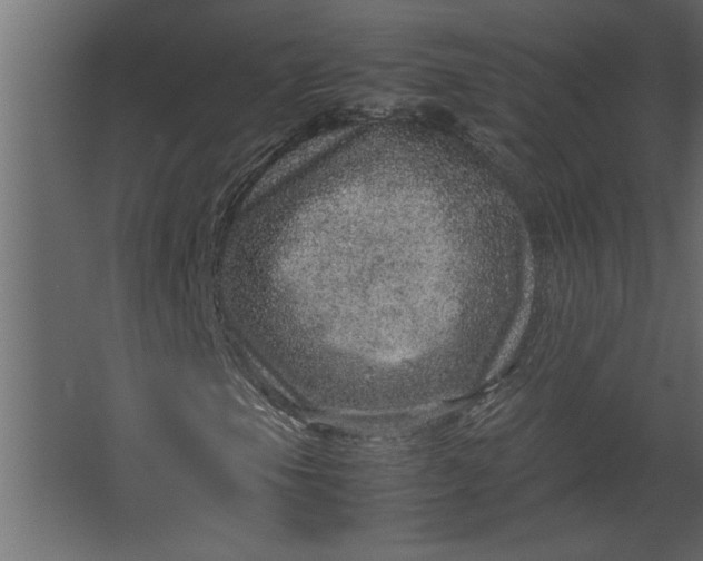 X0000067461105200604211533