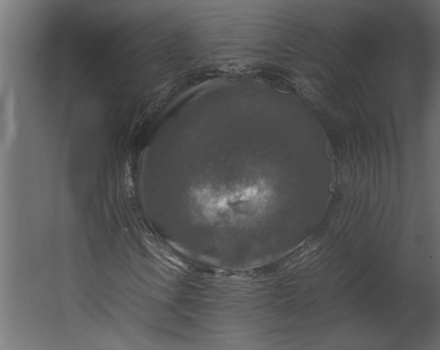 X0000067461106200604211533