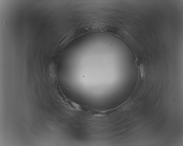 X0000067461107200604211534