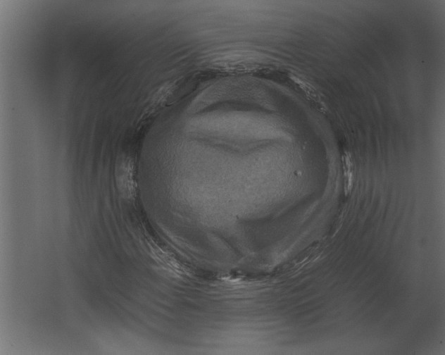 X0000067461108200604211534