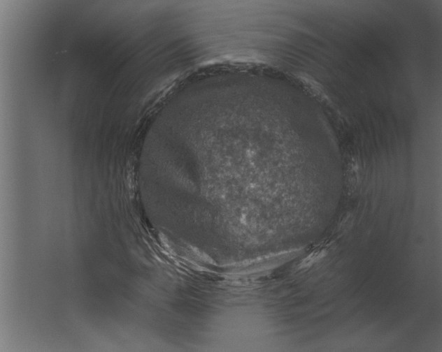 X0000067461110200604211534