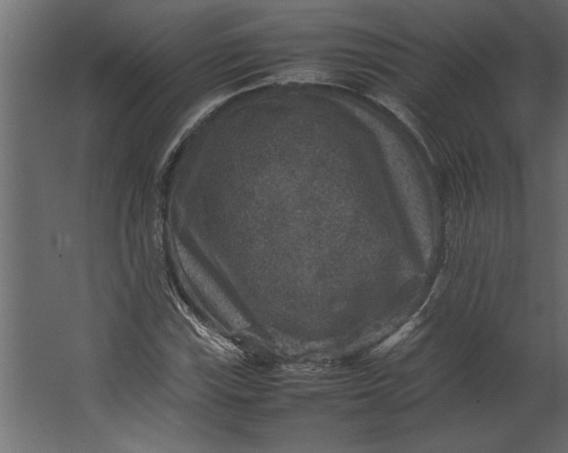 X0000067461115200604211534