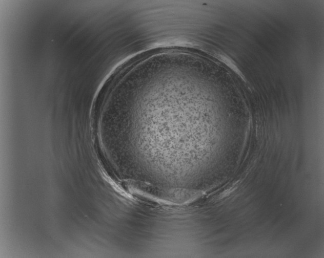 X0000067461116200604211534