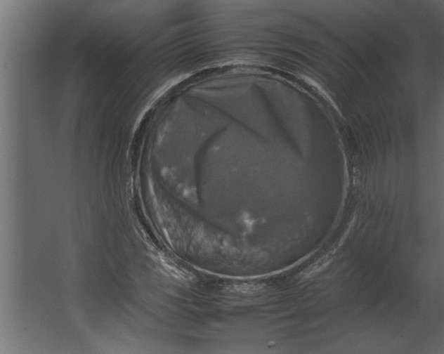 X0000067461117200604211534