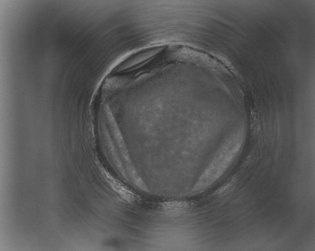 X0000067461118200604211534