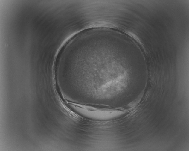 X0000067461120200604211534