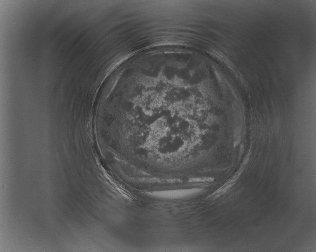 X0000067461121200604211534