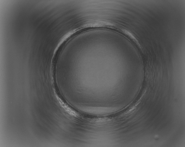 X0000067461122200604211534