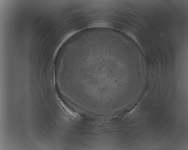 X0000067461123200604211534