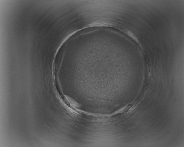 X0000067461124200604211534