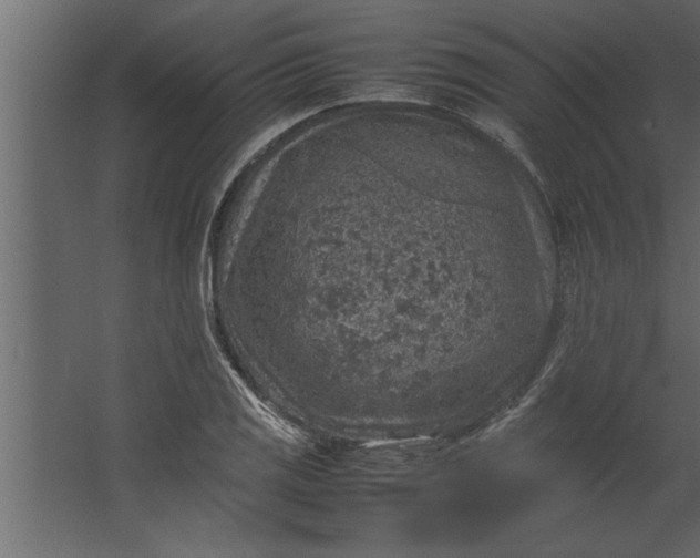 X0000067461125200604211534