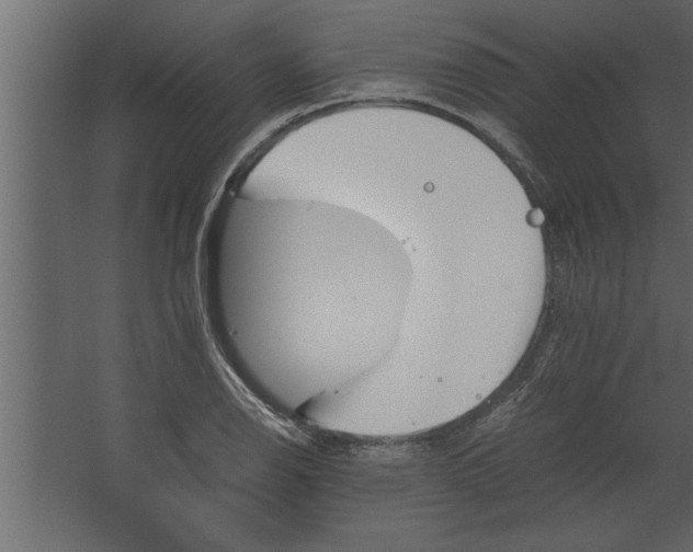 X0000067461126200604211534