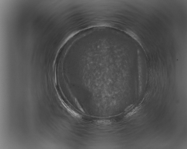 X0000067461127200604211534