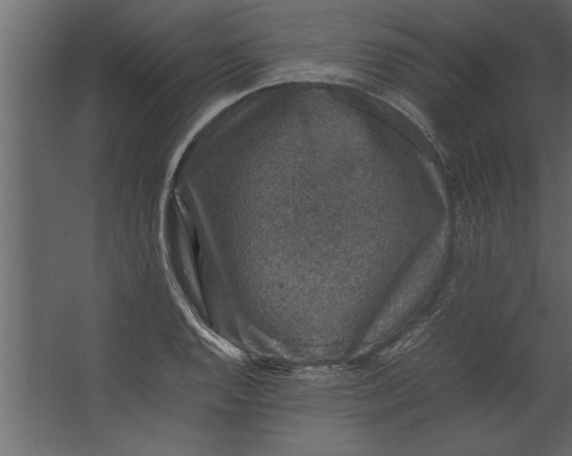 X0000067461128200604211534