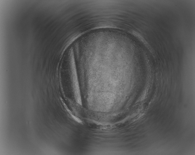 X0000067461129200604211534