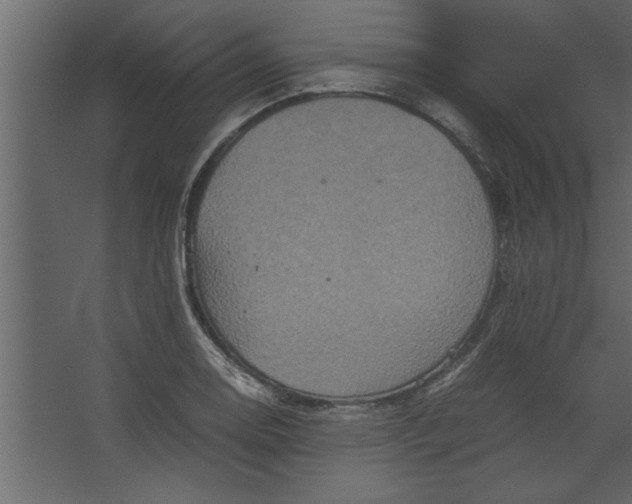 X0000067461130200604211534