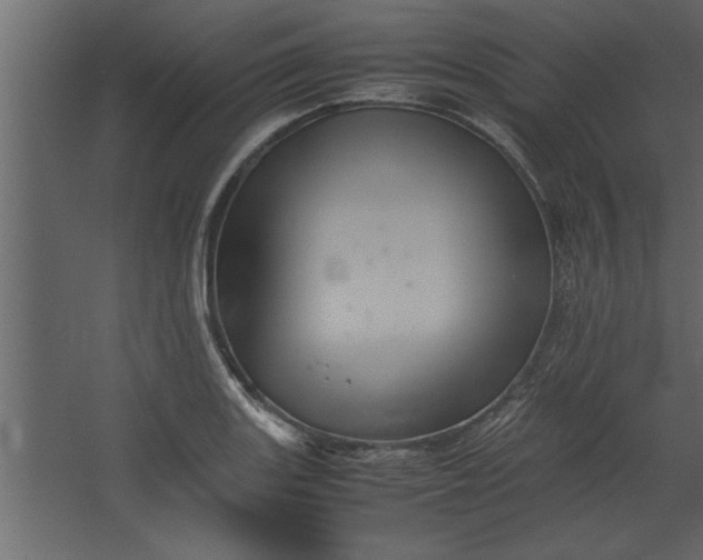 X0000067461131200604211534