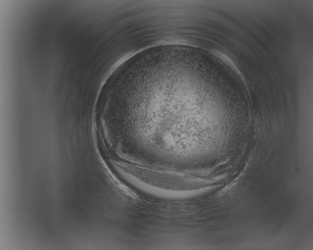 X0000067461133200604211534