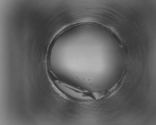 X0000067461134200604211534