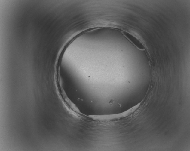 X0000067461136200604211534