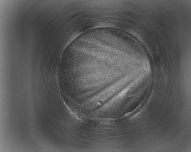 X0000067461137200604211534