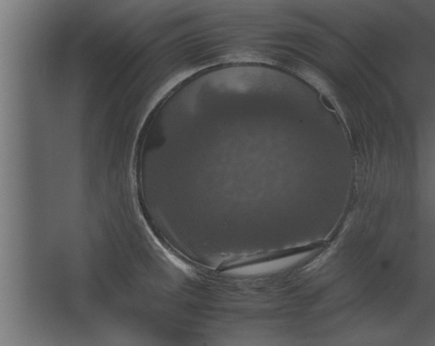 X0000067461141200604211534