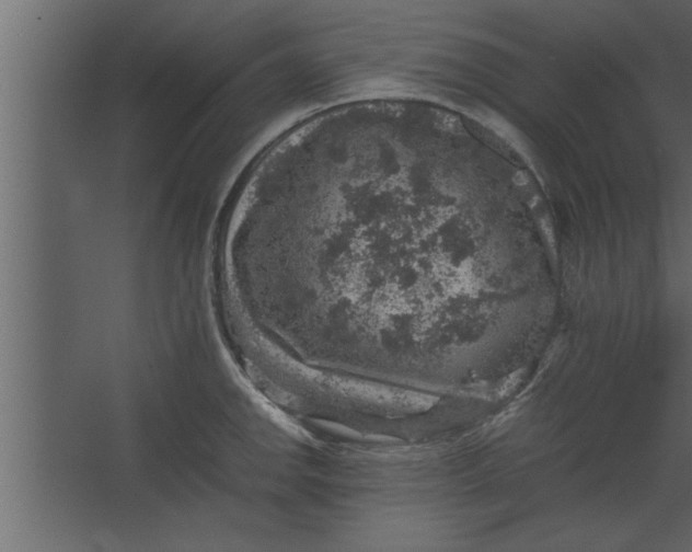 X0000067461142200604211534