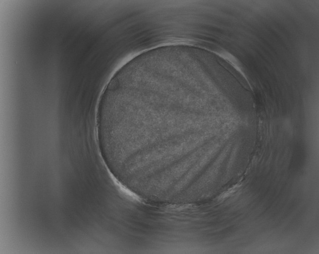 X0000067461143200604211534