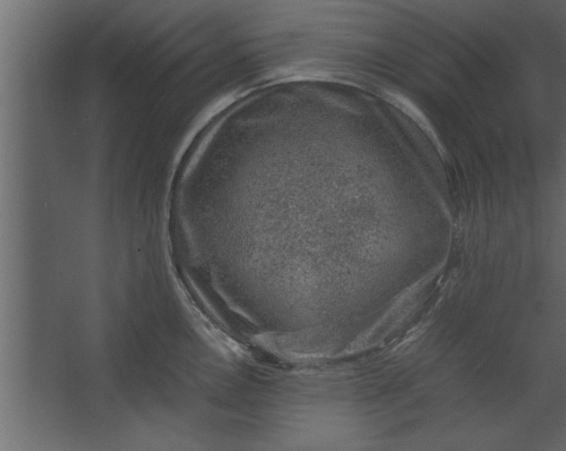 X0000067461146200604211534