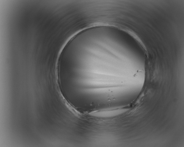 X0000067461148200604211534