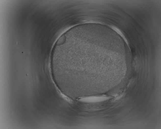 X0000067461149200604211534