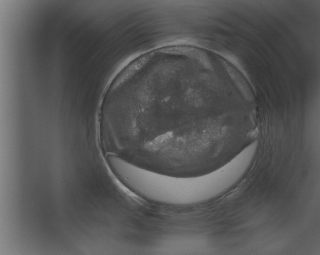 X0000067461151200604211534